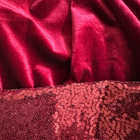 Velvet Rodeo Dress - Picture 3 of 4